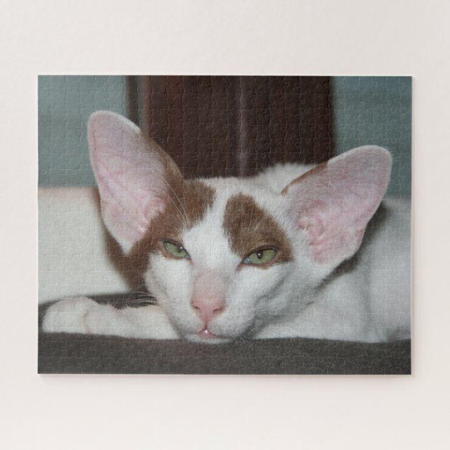 Oriental Shorthair Cat Jigsaw Puzzle (Horizontal)