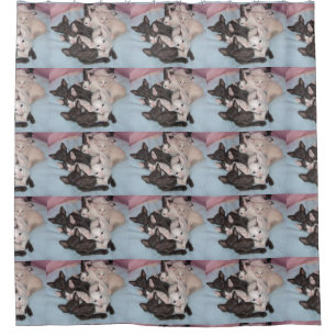 Oriental_shorthair_kitten group shower curtain