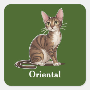 Oriental Square Sticker