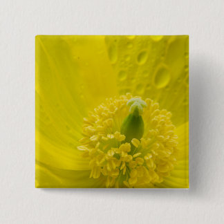 Oriental Yellow Poppy 15 Cm Square Badge