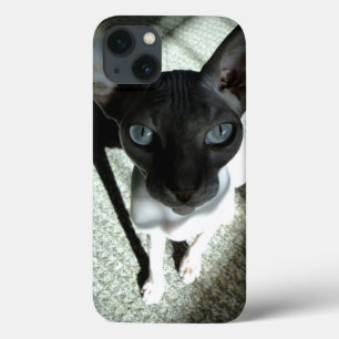 Orig. art: "Beware, the Sphynx can hypnotise..." iPhone 13 Case