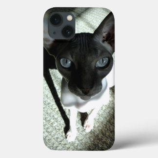 Orig. art: "Beware, the Sphynx can hypnotise..." iPhone 13 Case