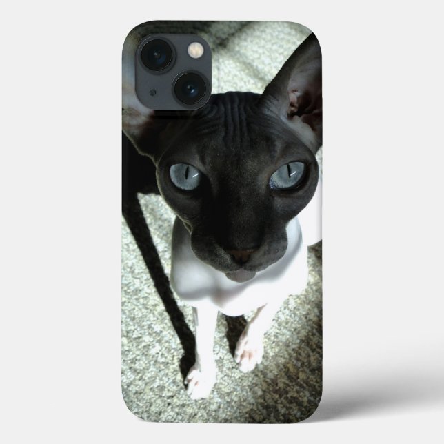 Orig. art: "Beware, the Sphynx can hypnotise..." Case-Mate iPhone Case (Back)