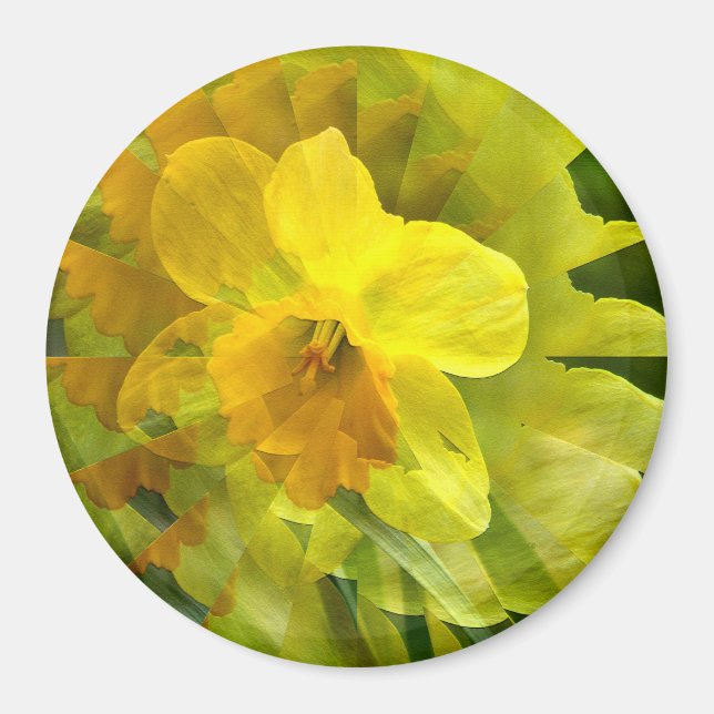 Origami Daffodil....... Magnet (Front)