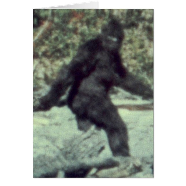 ORIGINAL 1967 BIGFOOT SASQUATCH PHOTO (Front)