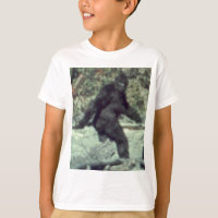 ORIGINAL 1967 BIGFOOT SASQUATCH PHOTO