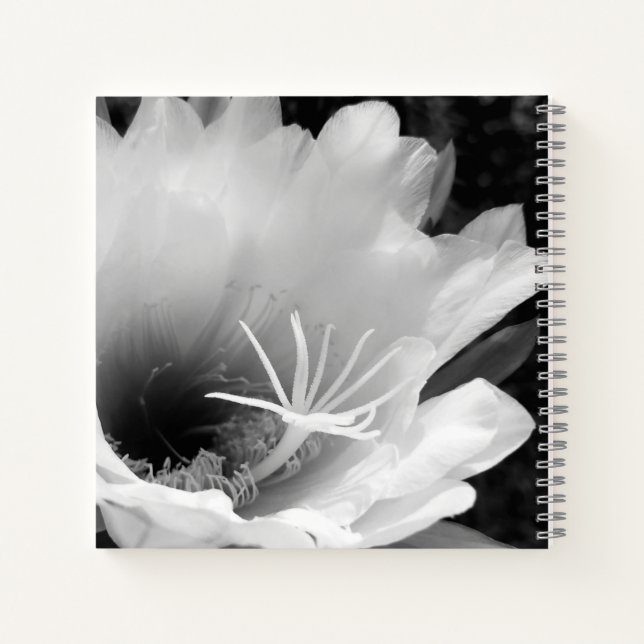 Original art: "Night blooming Cereus" Notebook (Back)