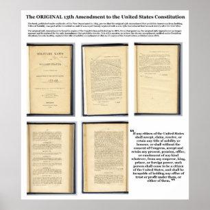 ORIGINAL Constitution Amendment XIII Evidence Poster
