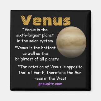 Original Groupitr Venus Magnet