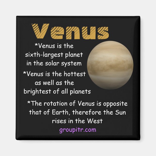 Original Groupitr Venus Magnet (Front)