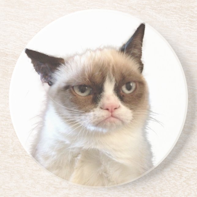 Original Grumpy Cat Coasters (Front)