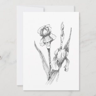 Original Hand Drawn Iris, Botanical Art Invitation