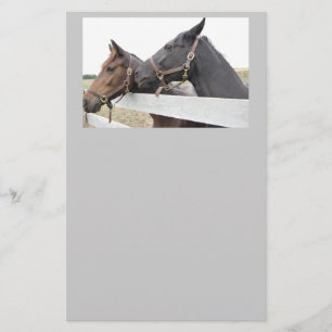 Original Horse Whisperer Stationery