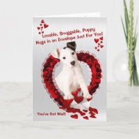 Original Jack Russell Puppy - Snuggable Puppy Hugs