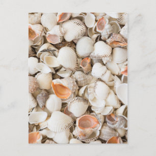 Original nature pattern Seashell style background Postcard
