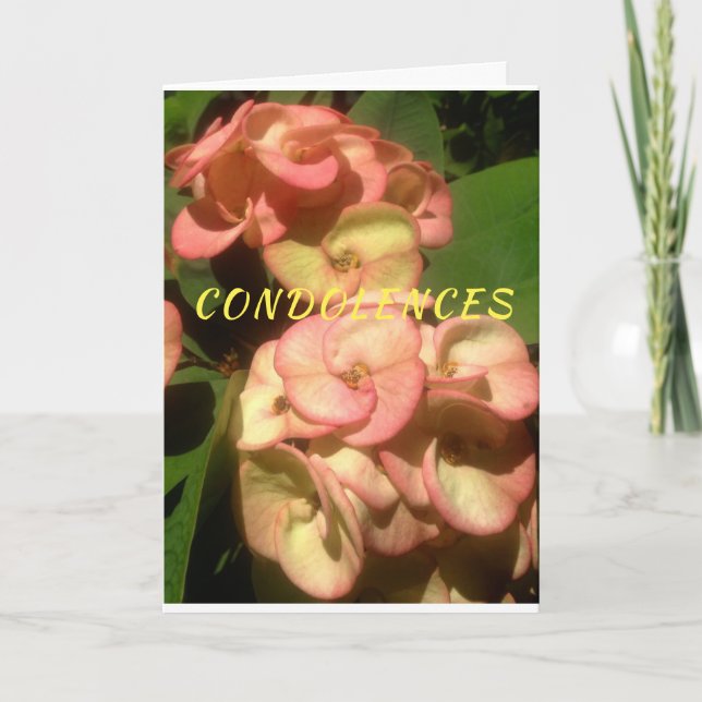 Original photo and drawing on Sympathy Card (Front)