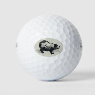 Original Pig Drawing with 2019 Golf Balls