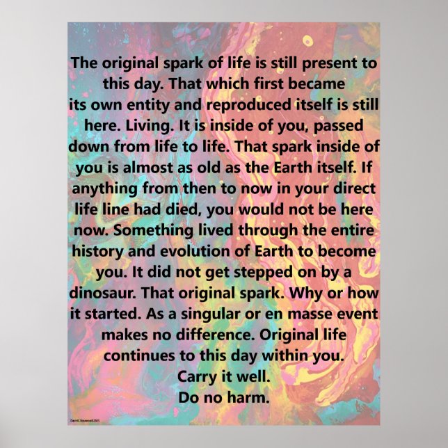Original Spark Of Life Poster (Front)