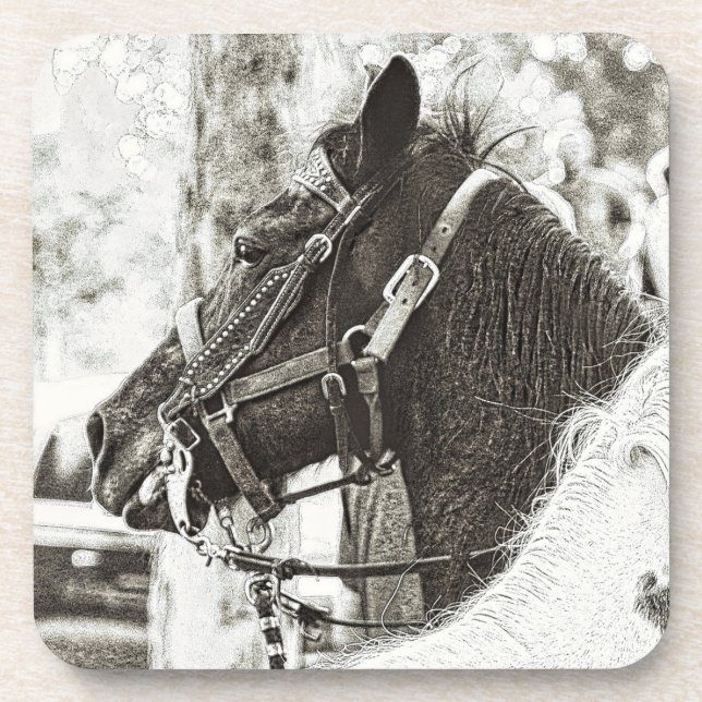 Original stylised black & white graphic art horse coaster (Front)