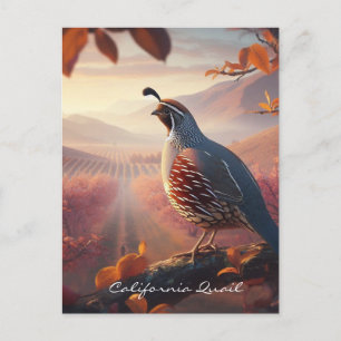 Original Watercolor California Quail. Bird Postcard