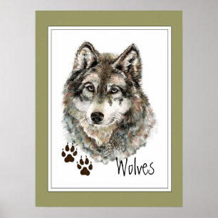Original Watercolor Grey  Wolf- Tracks Animal Poster