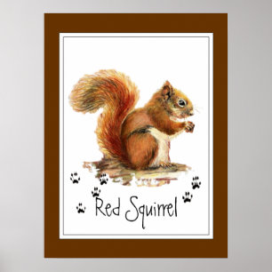 Original Watercolor Red Squirrel Tracks Animal Poster