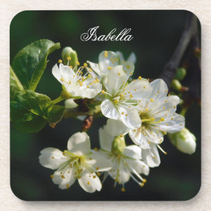 Original White Plum Art Custom Name Coaster