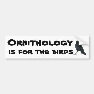 Orinthology is for the Birds with Crow Bumper Sticker