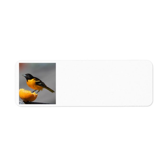 Oriole adderss label return address label (Front)