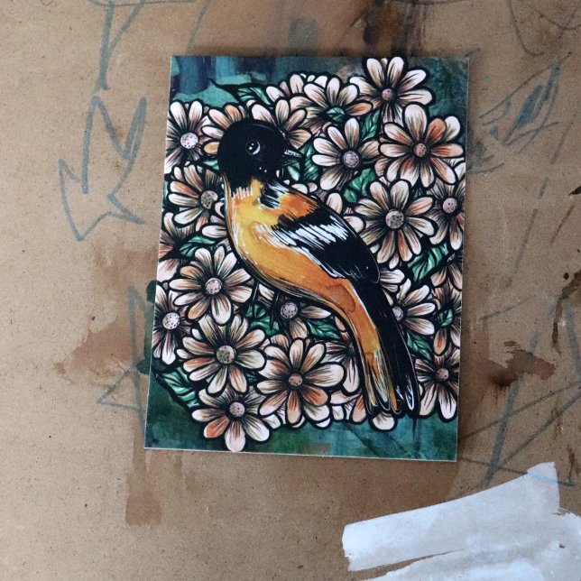 Oriole Bird Art bird watching designs watercolor   Postcard (Creator Uploaded)
