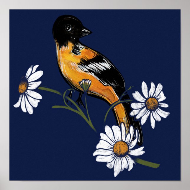 Oriole Bird Daisy Flower Nature Art                Poster (Front)