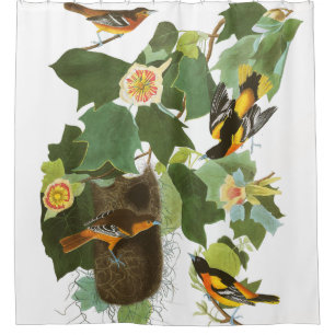 Oriole Birds Wildlife Nest Audubon Shower Curtain