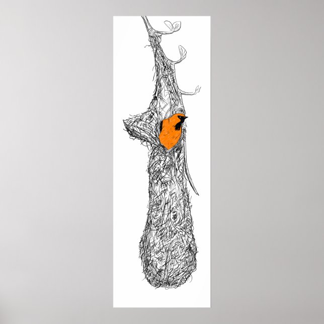 Oriole Nest Poster (Front)