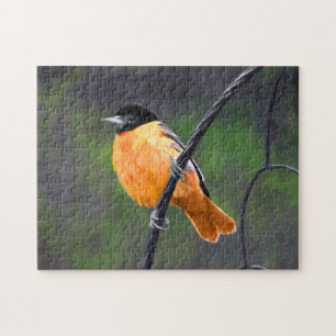 Oriole Painting - Original Bird Art Jigsaw Puzzle