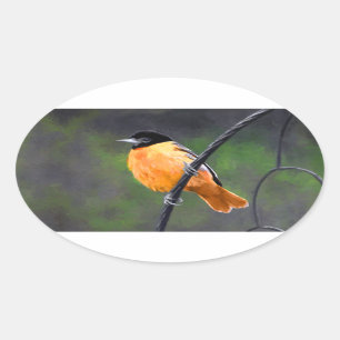 Oriole Painting - Original Bird Art Oval Sticker