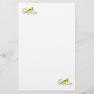 Oriole Stationary Stationery