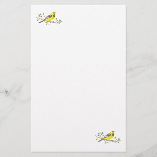 Oriole Stationary Stationery (Front)