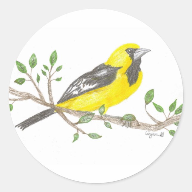 Oriole sticker (Front)