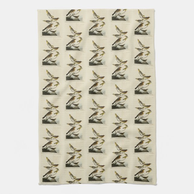 Orioles, Thrushes, from Audubon's Birds of America Tea Towel (Vertical)