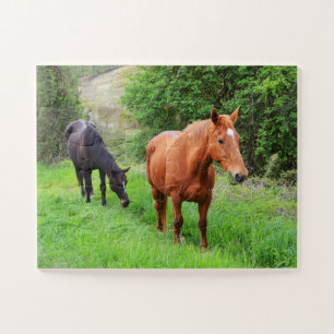 Orion and North Star Jigsaw Puzzle