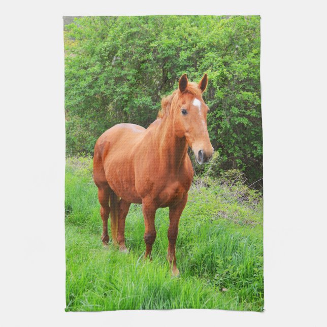 Orion Tea Towel (Vertical)