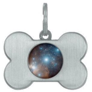 Orion's Belt Pet ID Tag