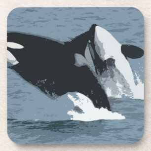 Orka Whale Coaster
