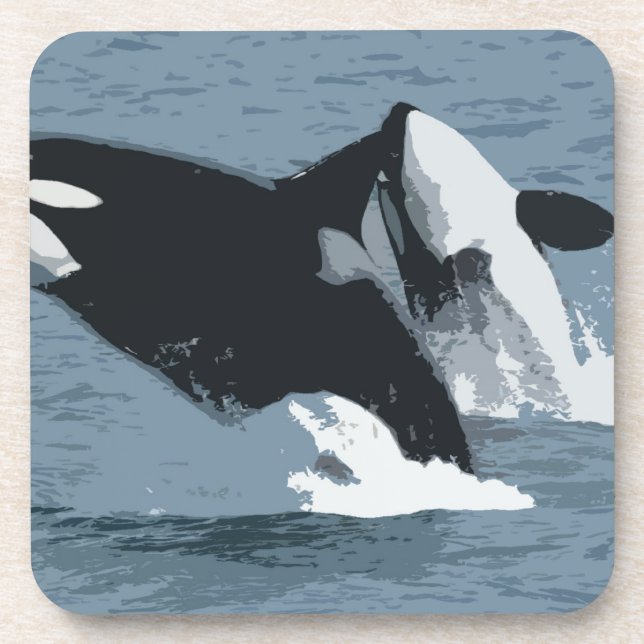 Orka Whale Coaster (Front)
