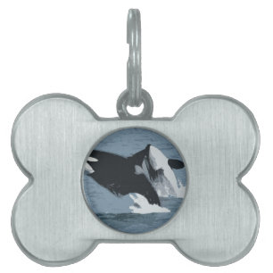 Orka Whale Pet Name Tag