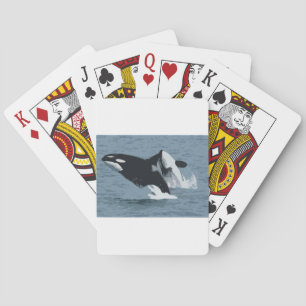 Orka Whale Playing Cards
