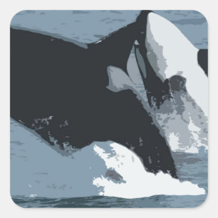 Orka Whale Square Sticker