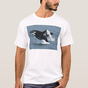 Orka Whale T-Shirt