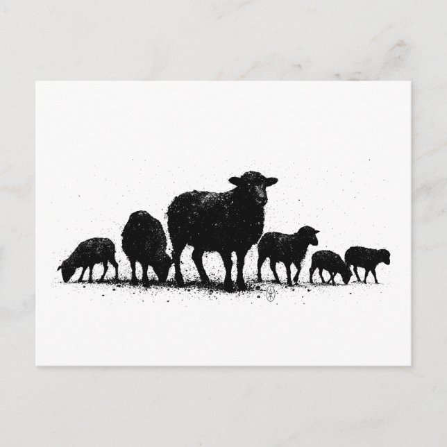 Orkney Sheep — Ink Silhouette Flock Postcard (Front)