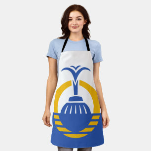 Orlando City flag Apron